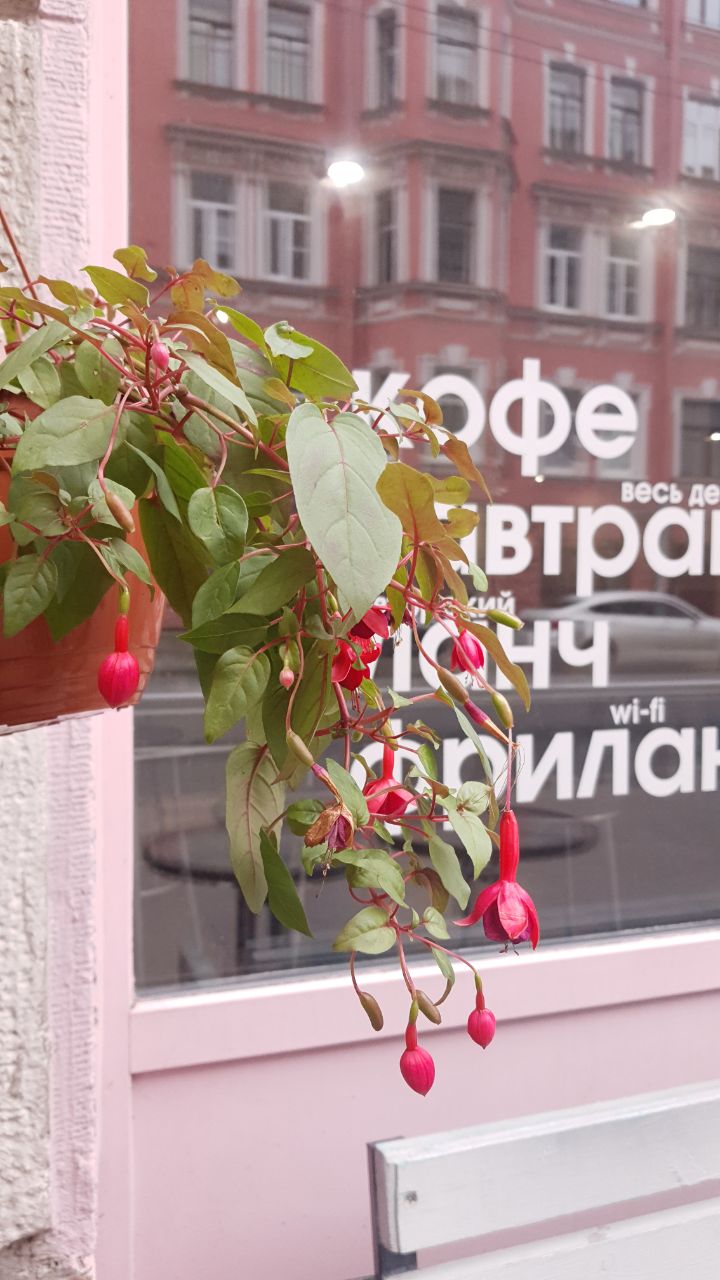 Санкт-Петербург<br/>Unic_coffee_spb<br/>300 руб/ч