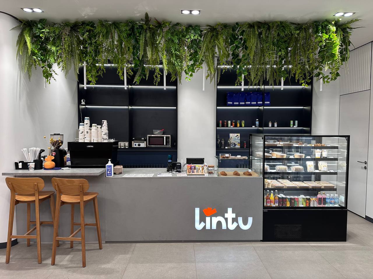 Москва<br/>Lintu<br/>350 руб/ч
